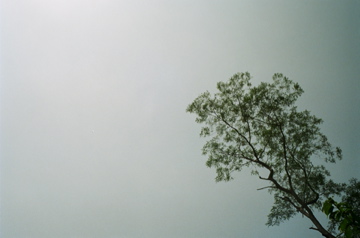 f0236733_23335684.jpg