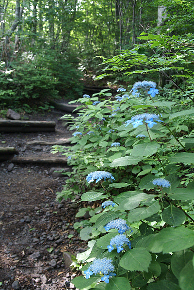 f0214649_1131861.jpg