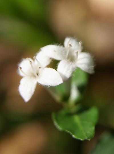f0214649_11371025.jpg