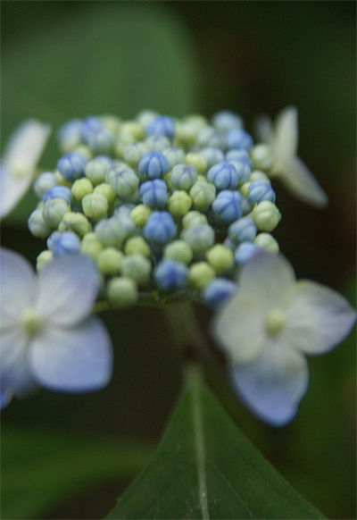 f0214649_1138497.jpg