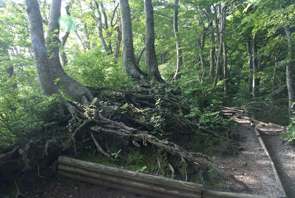 f0214649_1141423.jpg