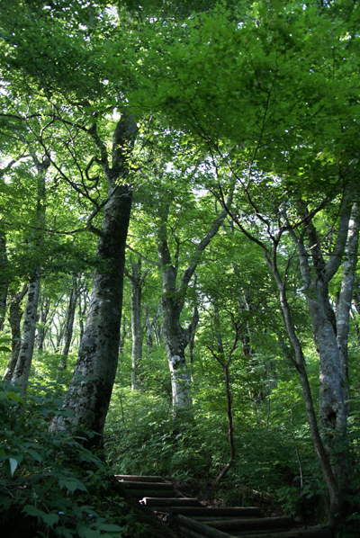 f0214649_1143431.jpg