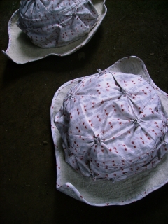 a0068350_671032.jpg