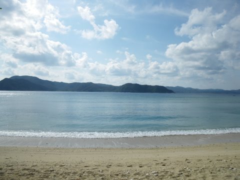 f0046250_1053351.jpg
