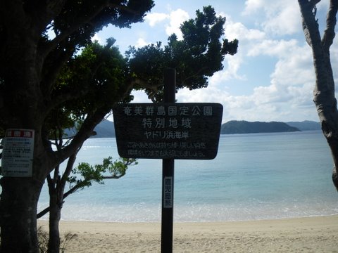 f0046250_10535639.jpg