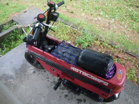 f0046250_1275178.jpg