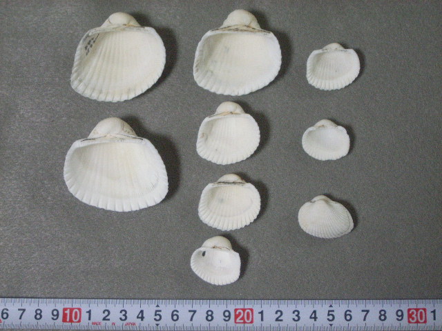 a0157451_2231636.jpg