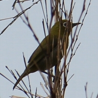 a0166851_22525661.jpg