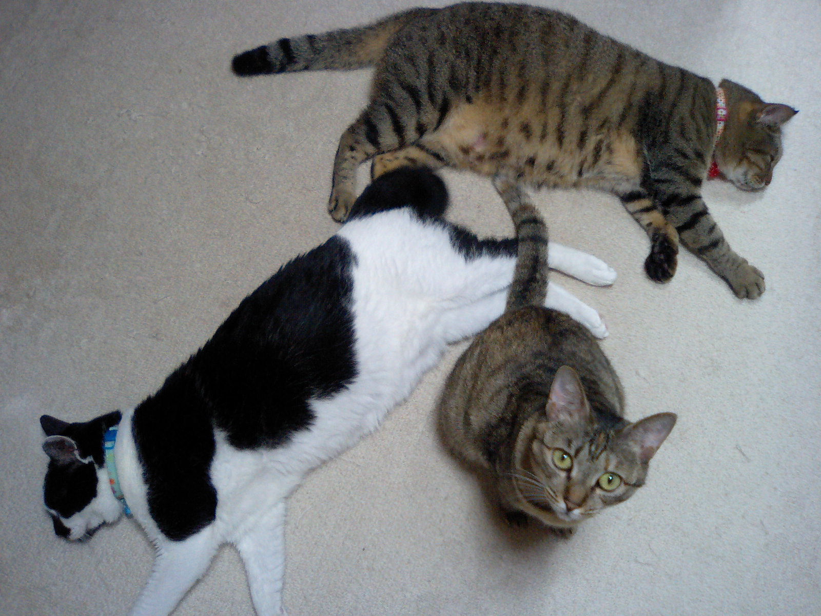 d0076760_23393660.jpg