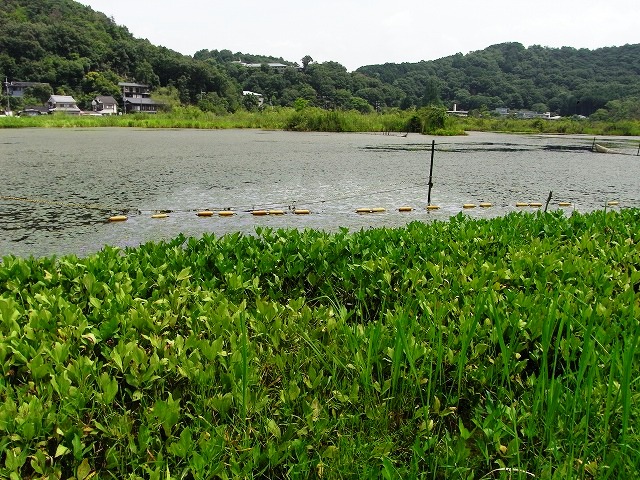 b0044663_23345658.jpg