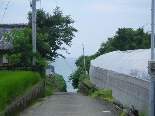 f0055264_23325414.jpg