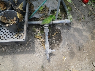f0055264_23455925.jpg