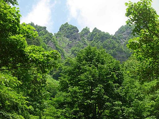 d0048366_9215371.jpg