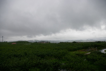 d0131668_10122819.jpg