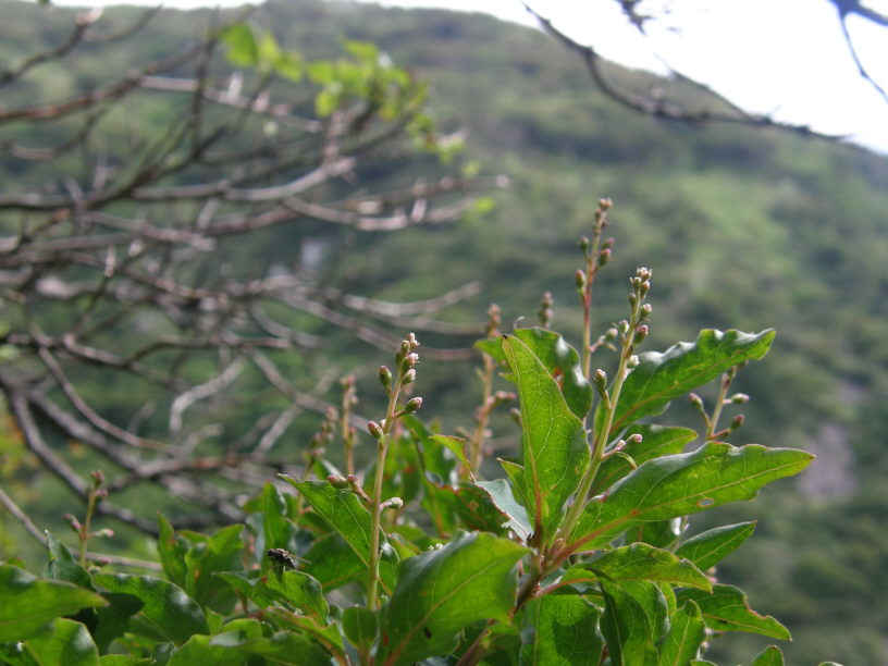 c0042869_1925868.jpg