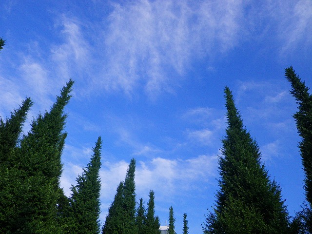 e0078069_22305219.jpg