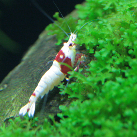 f0224970_23452249.jpg