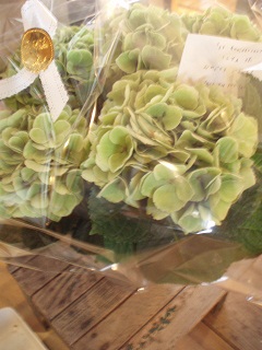 c0214272_2243266.jpg
