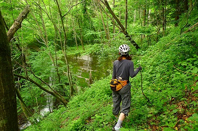 f0182173_1113501.jpg
