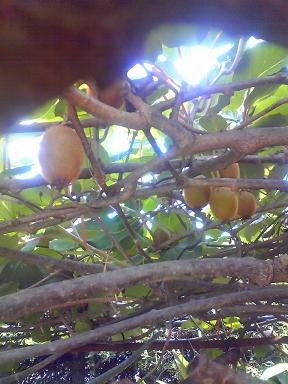 f0229275_1212051.jpg