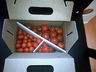 f0036678_14174050.jpg