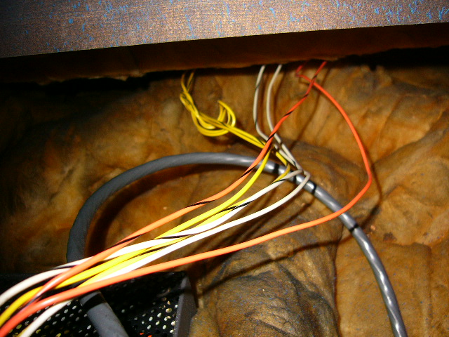 a0112282_1834144.jpg