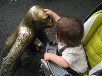 f0068883_3383780.jpg