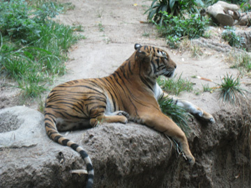 f0068883_3451250.jpg