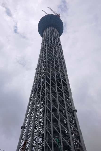 a0127090_8591259.jpg