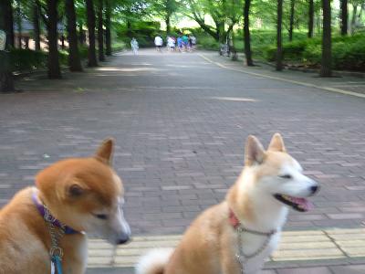 c0123890_19482092.jpg