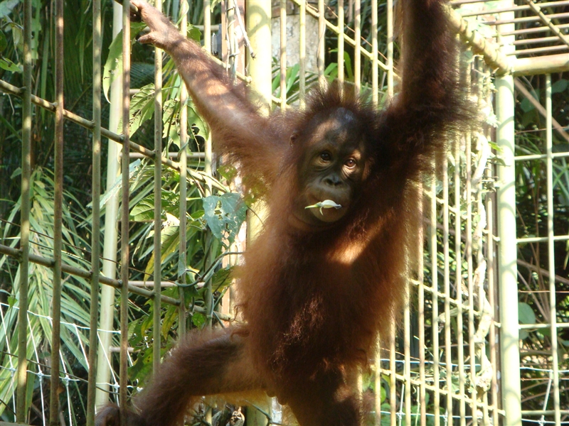 d0160392_21303441.jpg