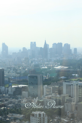 e0154202_20593673.jpg