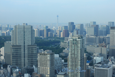 e0154202_2105597.jpg