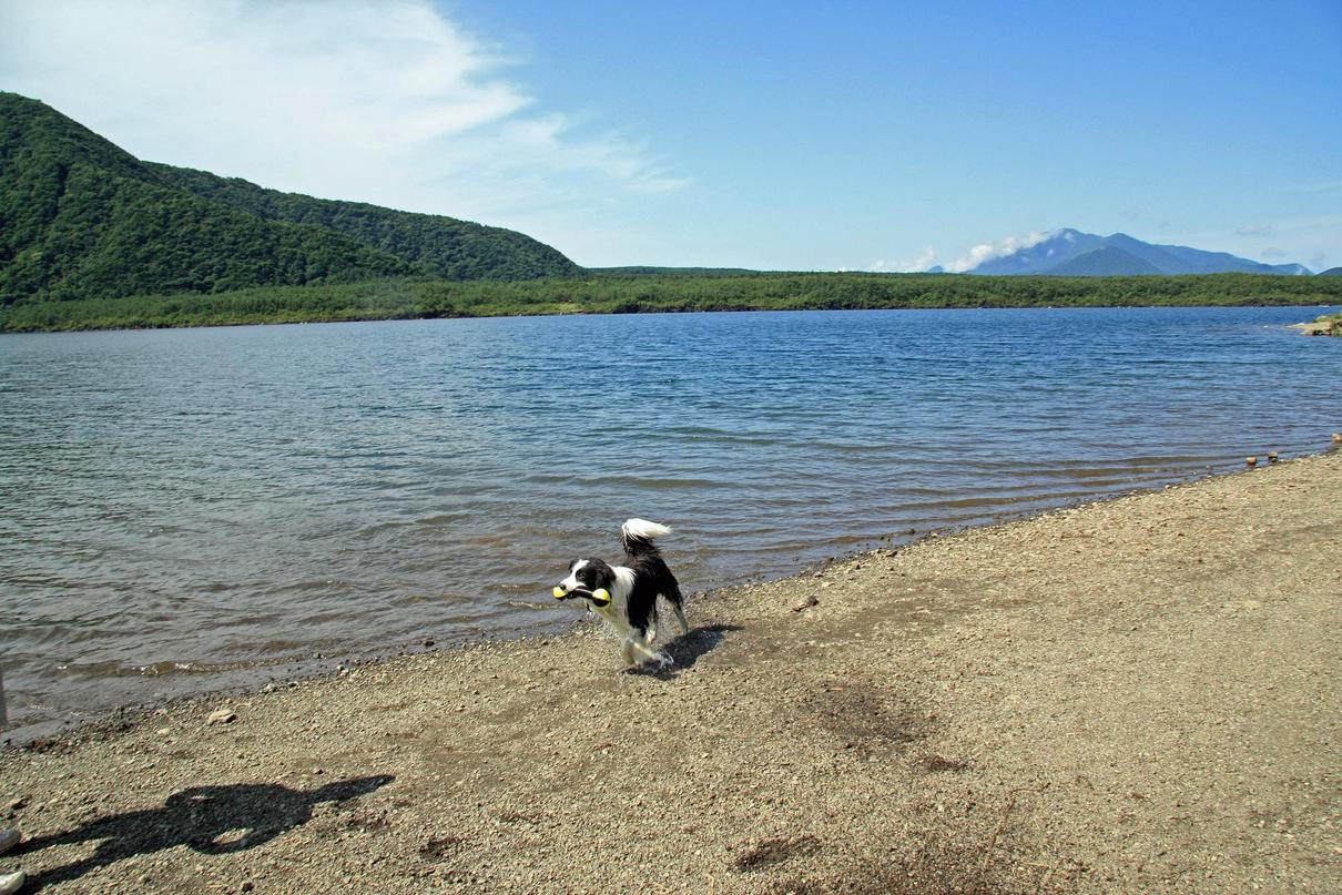 f0034602_17351317.jpg