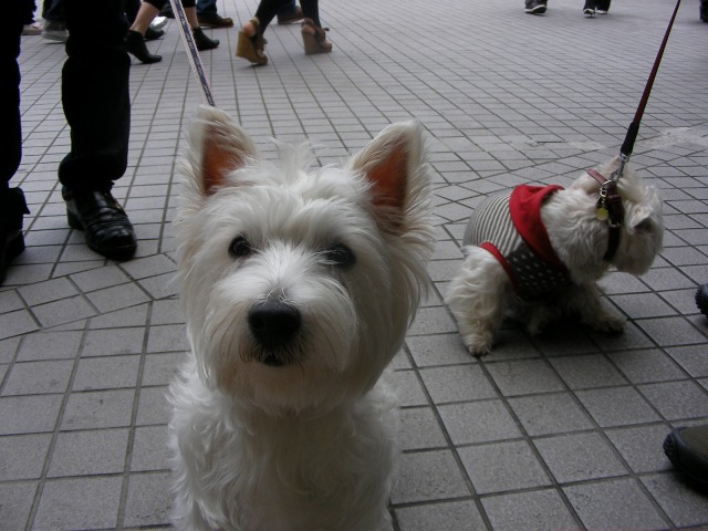 f0039907_1330016.jpg