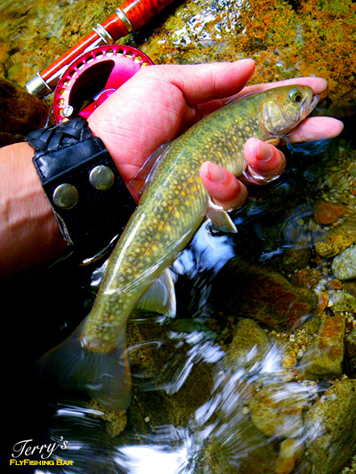 e0009009_15242742.jpg