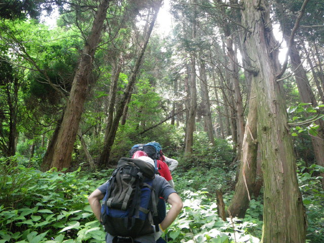 d0006512_0112539.jpg