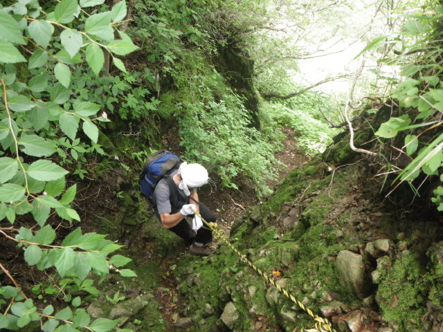 d0006512_0134739.jpg