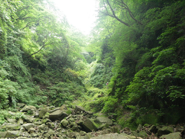 d0006512_0174818.jpg
