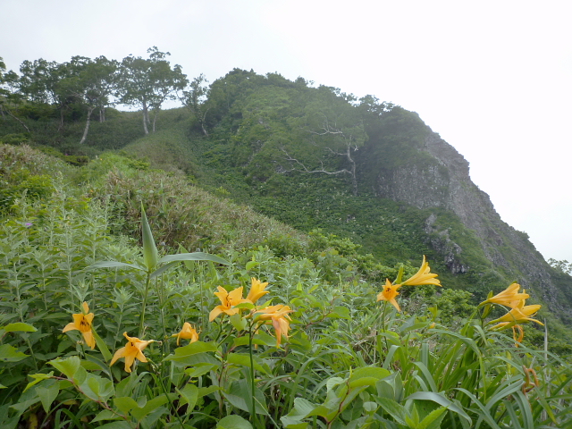 d0170615_9171891.jpg