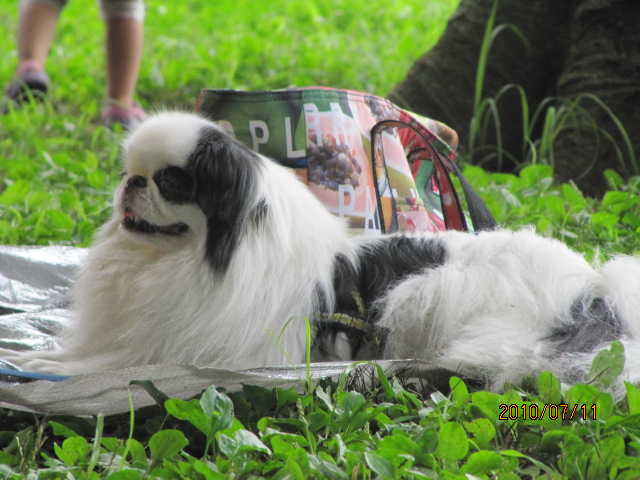 c0200916_2222519.jpg