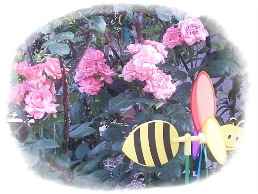a0053420_15483757.jpg