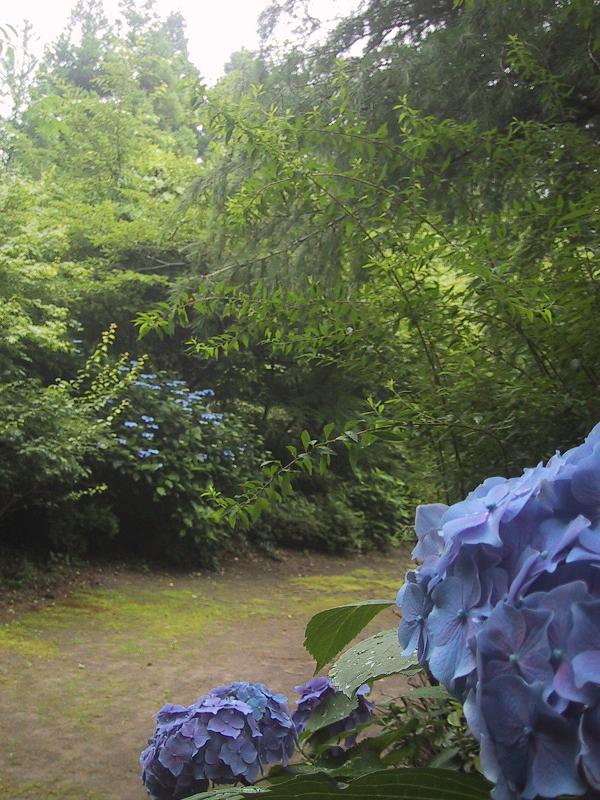 c0097620_22292416.jpg