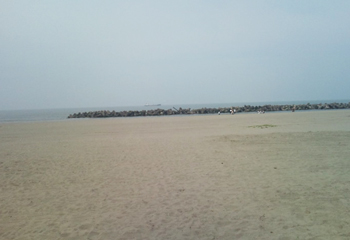 b0130623_1204147.jpg