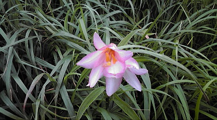 b0062024_12214945.jpg