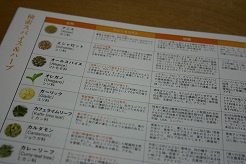 c0157226_015978.jpg