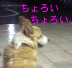 f0228030_20365632.jpg