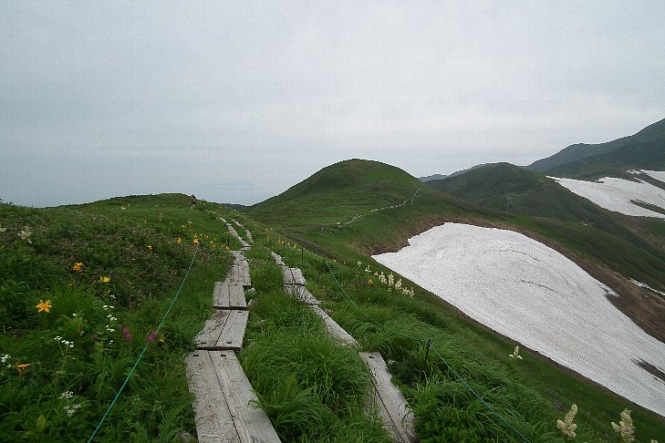 f0118332_2181846.jpg