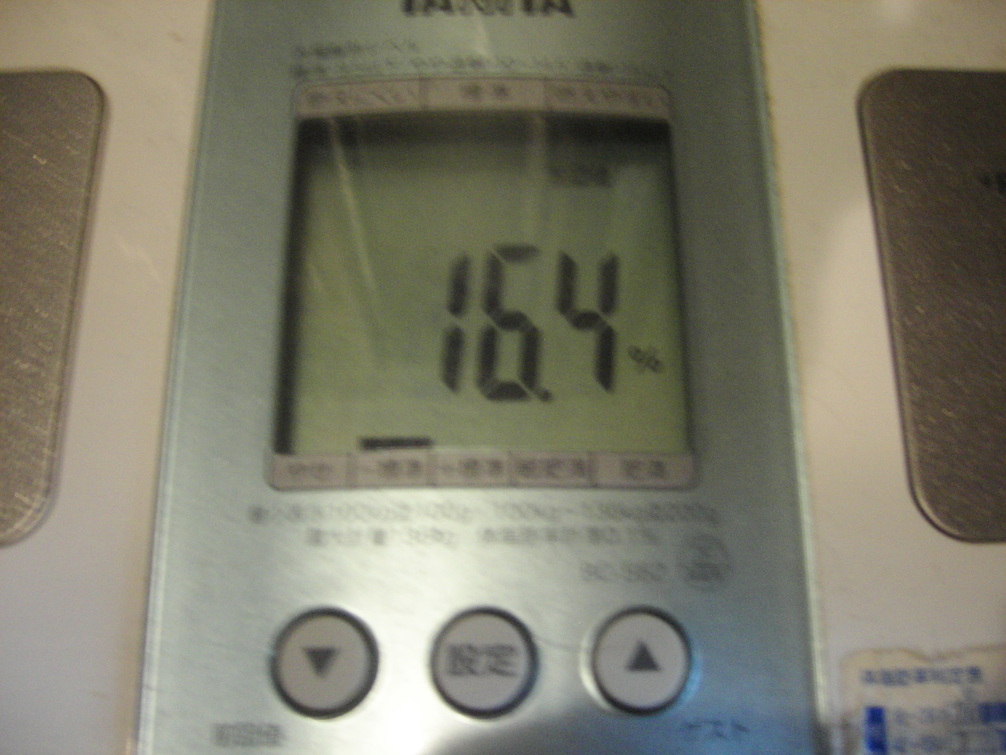 d0013834_1104840.jpg