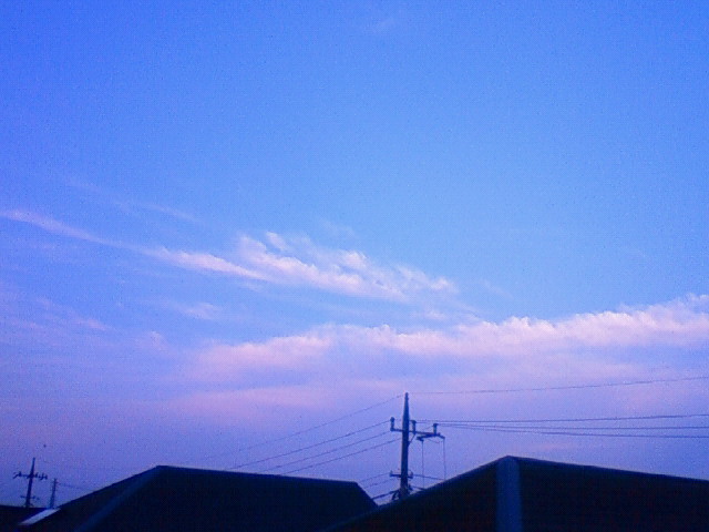 a0163738_12453851.jpg